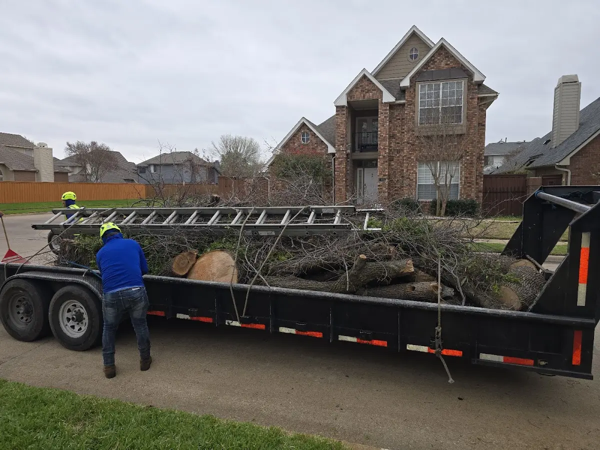 Expert Tree Fertilization with proper safety equipment in Westmoreland